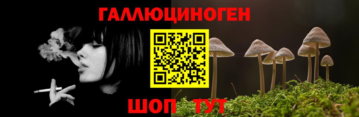 Псилоцибиновые грибы ЛСД  Вход с VPN  Новочебоксарск 